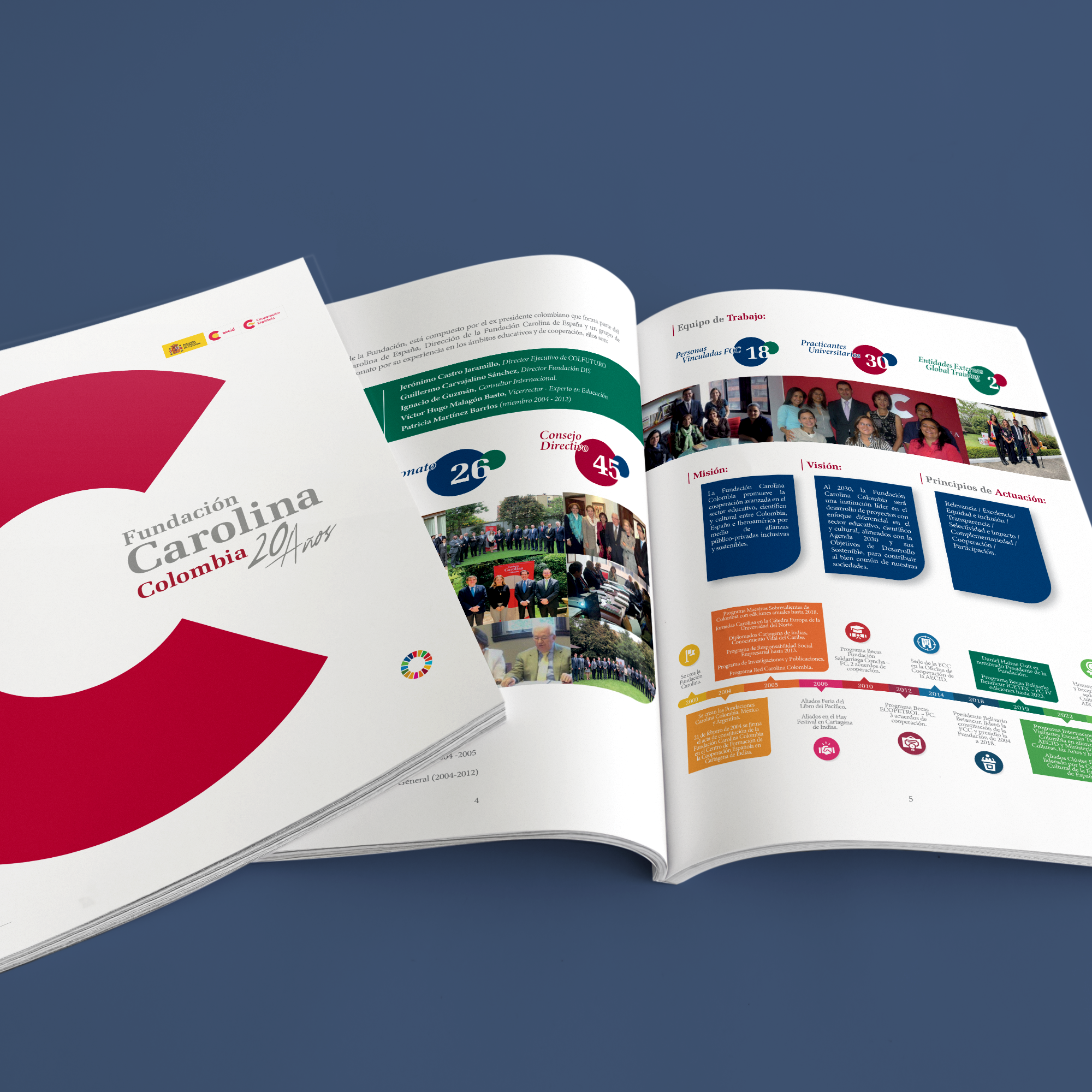 informe de gestion anual fundacion carolina