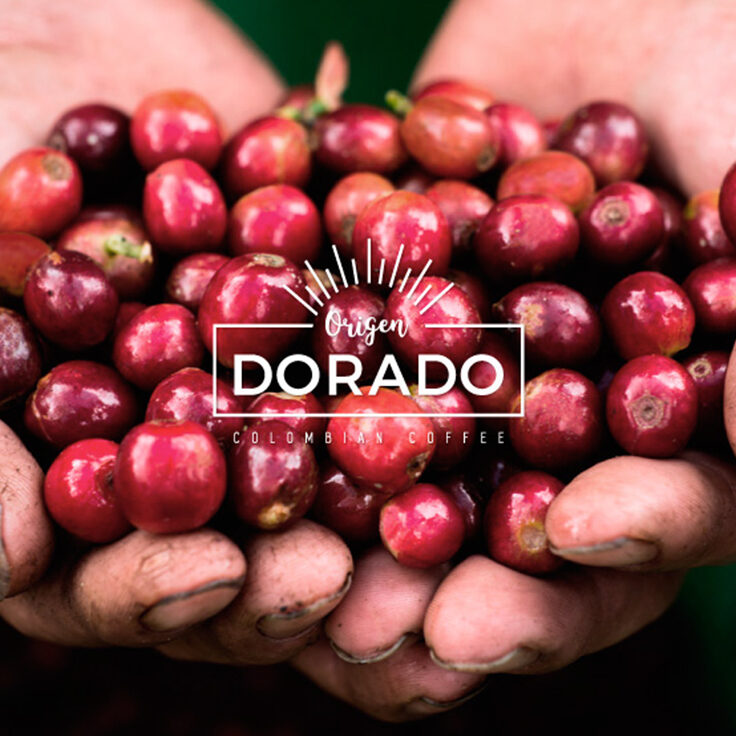 Café Origen Dorado: Colombian Coffee