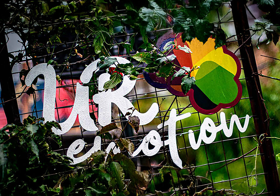 miniatura ur emotion