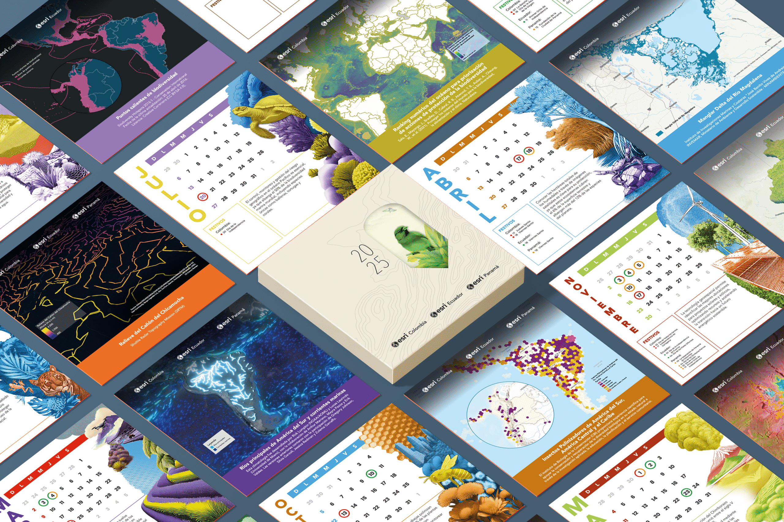 calendario 2025 esri latam