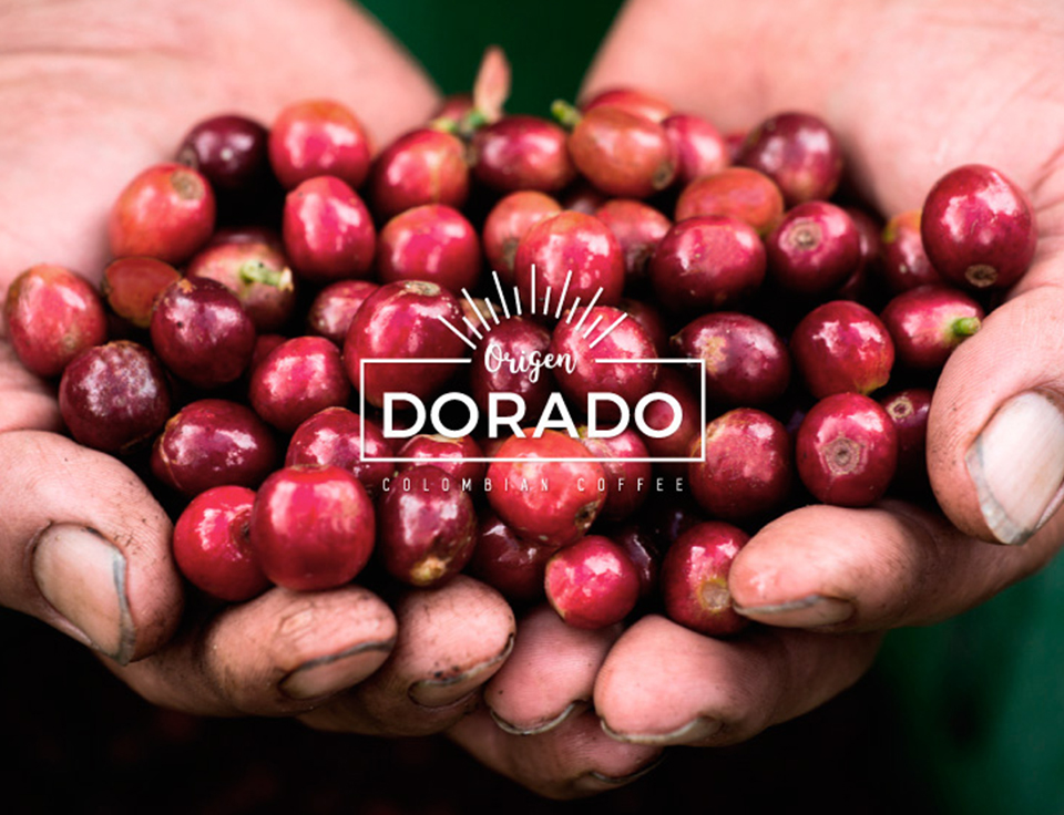 Café Origen Dorado: Colombian Coffee
