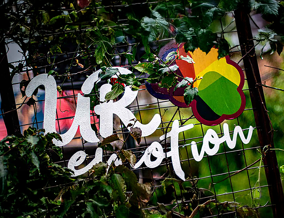 UR Emotion: Centro Rosarista de Educación Emocional miniatura ur emotion